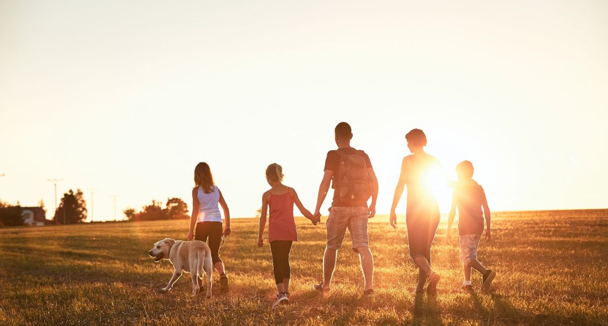 The Australian Teletrial Program supporting rural healthcare | Rural ...
